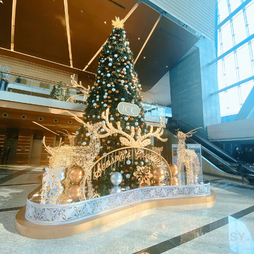 リッツカールトン香港クリスマスアフタヌーンティーへ行く前の香港クリスマスの写真