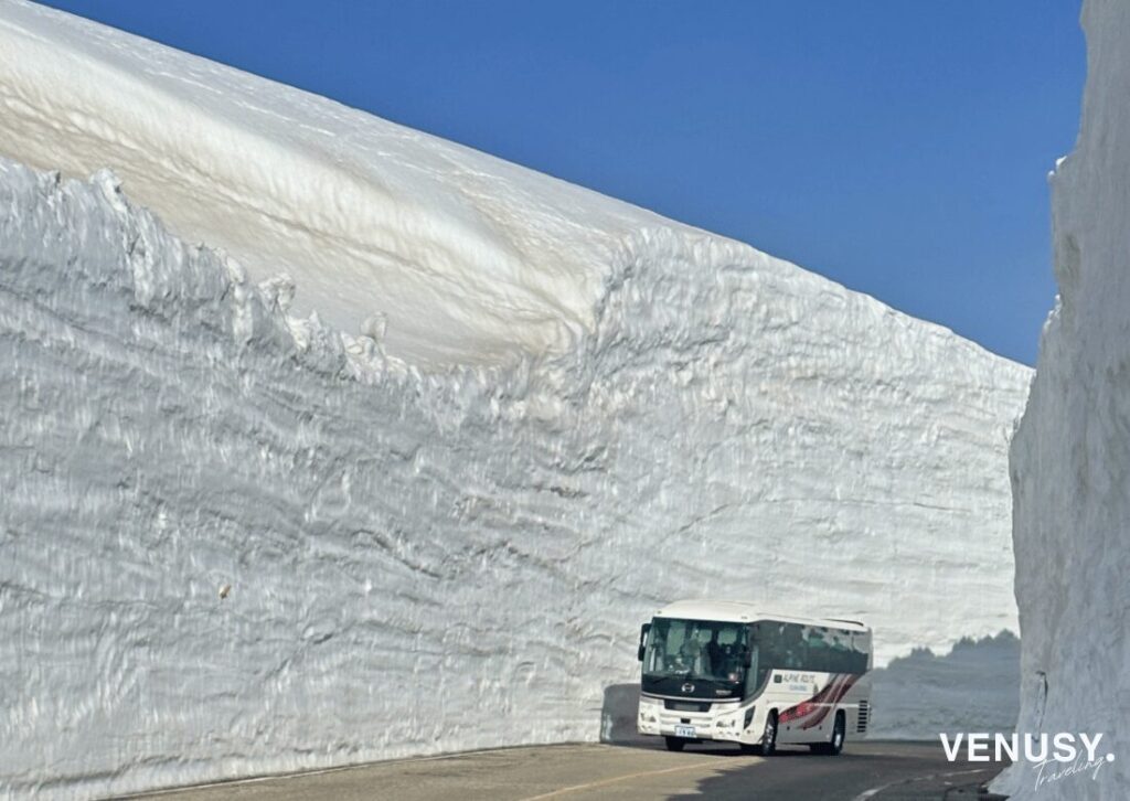 黒部アルペンルート雪の大谷の写真