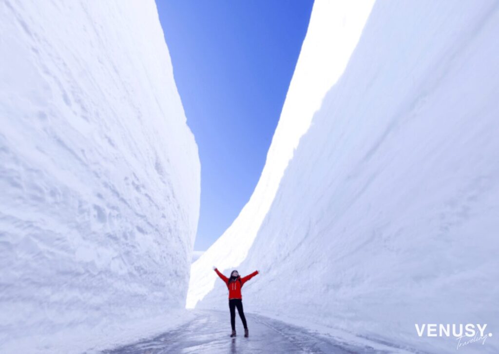 黒部アルペンルートの
主要な観光スポットとアクティビティ（春の雪の大谷ウォーク）写真