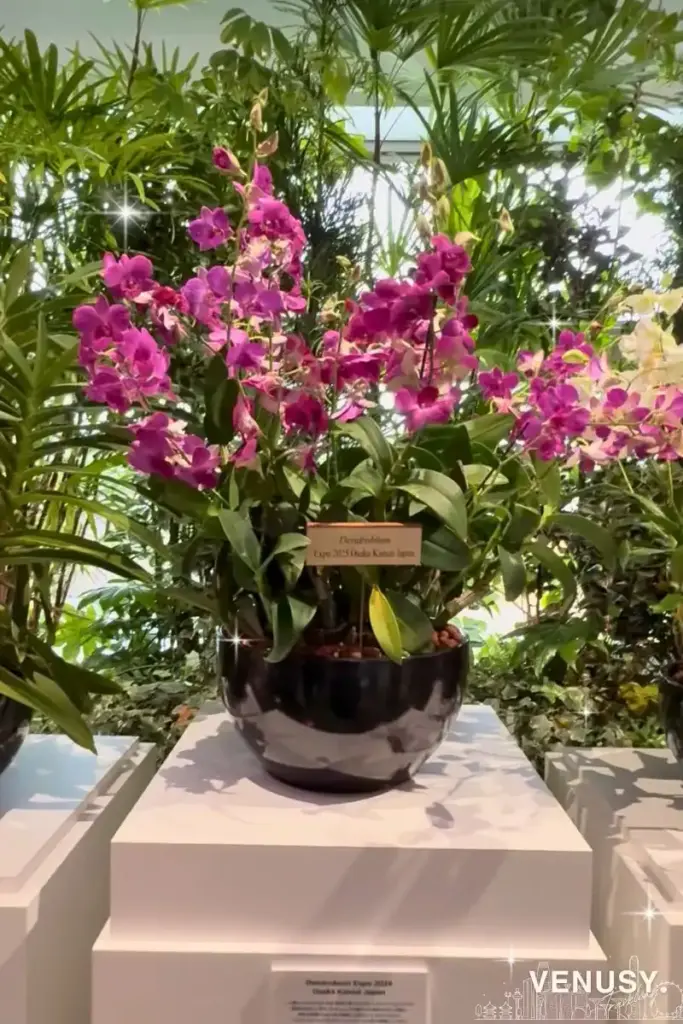 大阪万博シンガポール館の植物&お花ゾーン|癒しのガーデン空間で心もほっこり