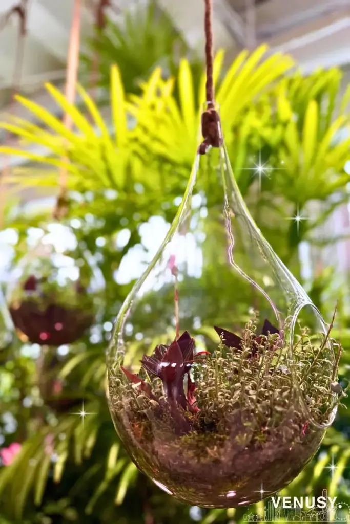 大阪万博シンガポール館の植物&お花ゾーン|癒しのガーデン空間で心もほっこり