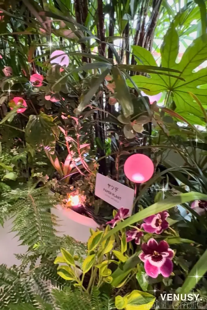 大阪万博シンガポール館の植物&お花ゾーン|癒しのガーデン空間で心もほっこり