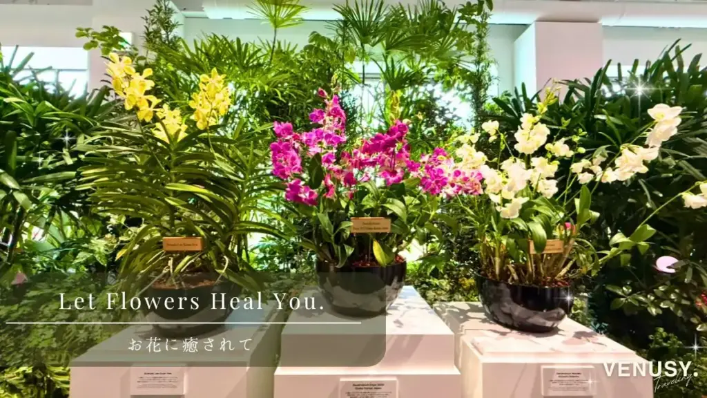 大阪万博シンガポール館の植物&お花ゾーン|癒しのガーデン空間で心もほっこり