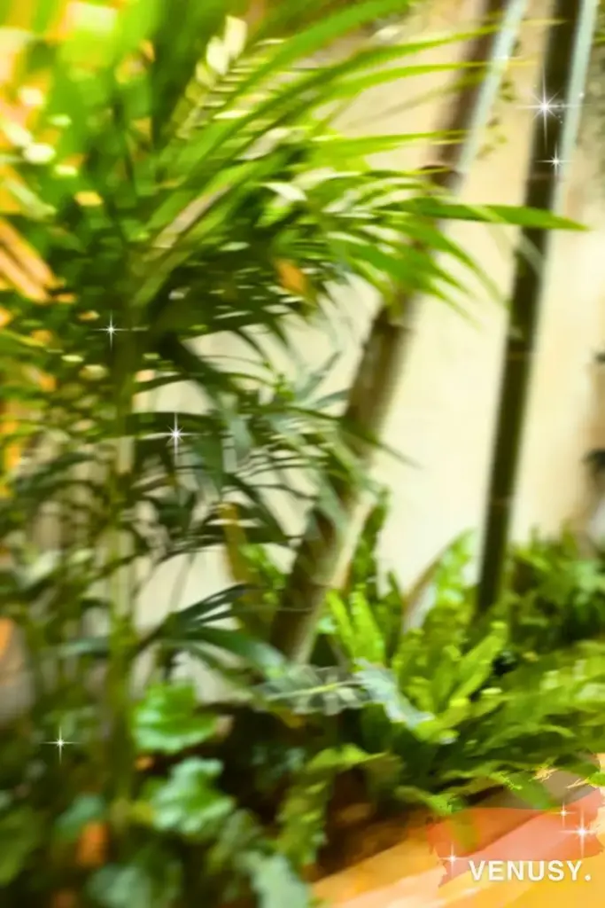 大阪・関西万博2025のドイツ館入り口付近にある植物の装飾。ヤシの葉や竹などが植えられたナチュラルな空間。訪問者に自然のやさしさを感じさせる演出。