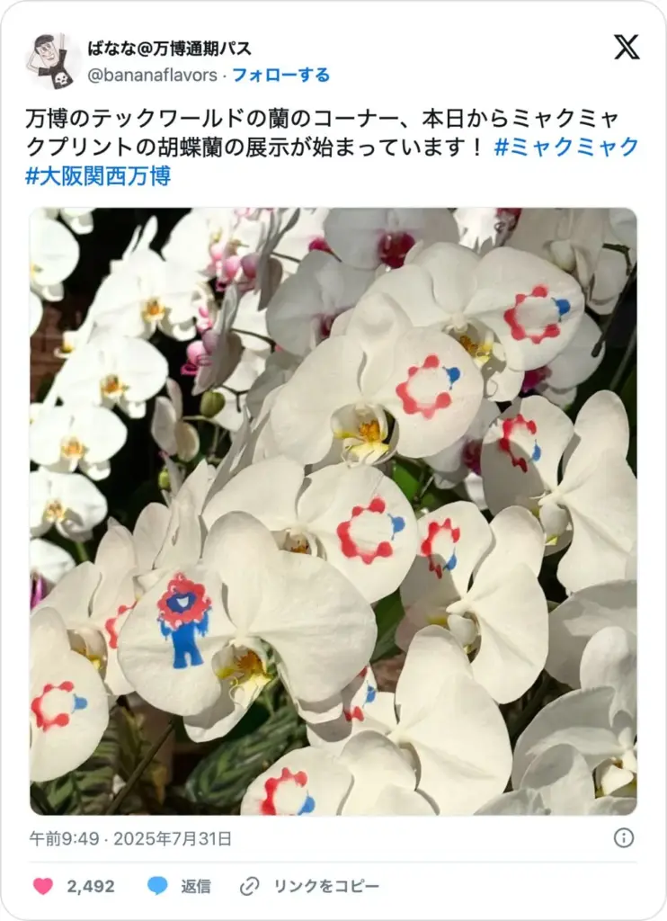 大阪万博 台湾テックワールドで展示されているミャクミャクプリント入り胡蝶蘭の写真
