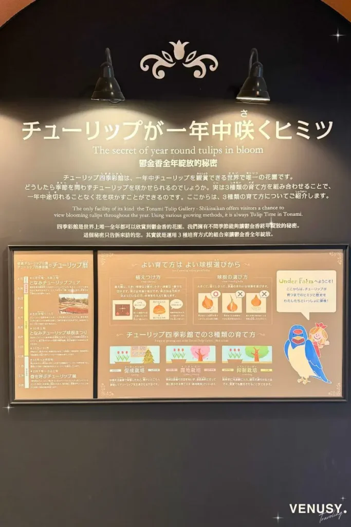砺波チューリップフェア2026 チューリップが一年中咲く仕組み展示
